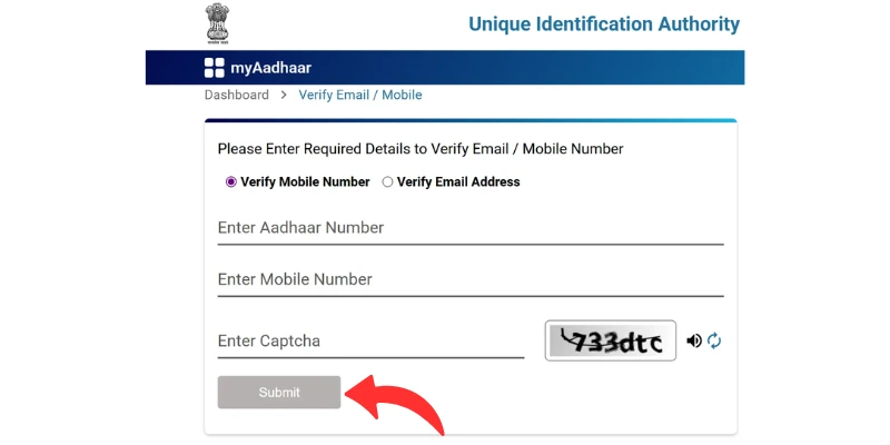 verify email and mobile number
